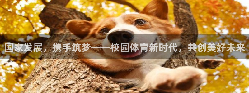 意昂f凯捷是哪个平台