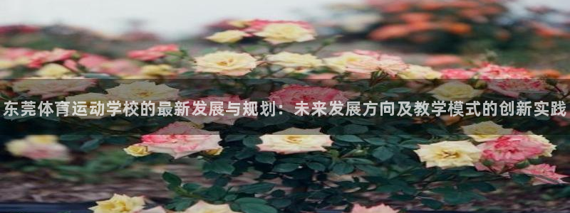 意昂f凯捷vk