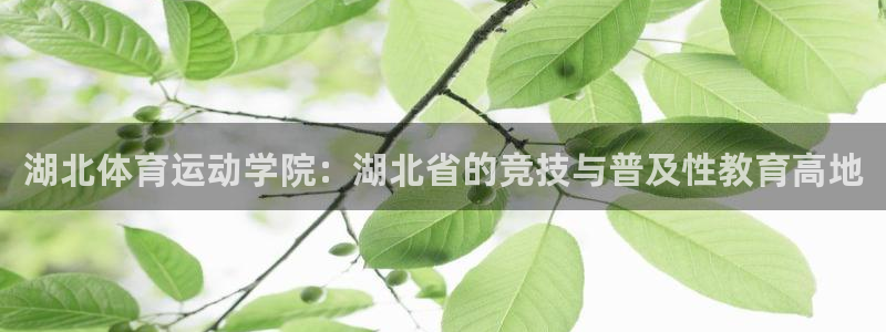 意昂f凯捷体育代理申请流程