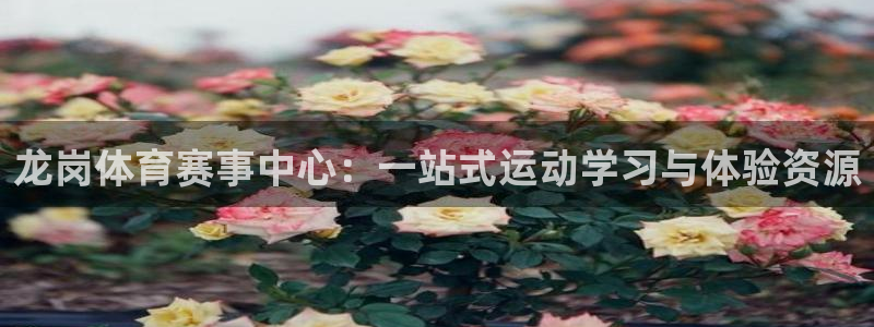 意昂f凯捷零能源集团