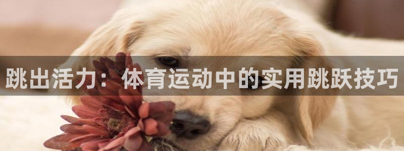 意昂f凯捷体育凯捷平台注册
