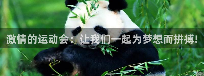 意昂f凯捷体育官网入口登录