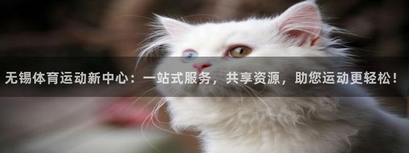 意昂f凯捷体育1招商