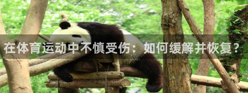 意昂f凯捷凯捷平台