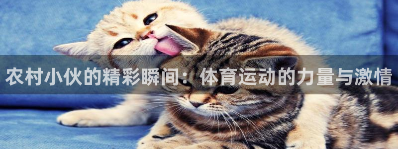 意昂f凯捷2注册