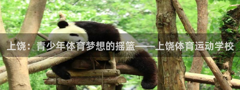意昂f凯捷平台主管