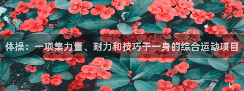 意昂f凯捷集团官网