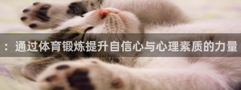 意昂f凯捷体育app下载