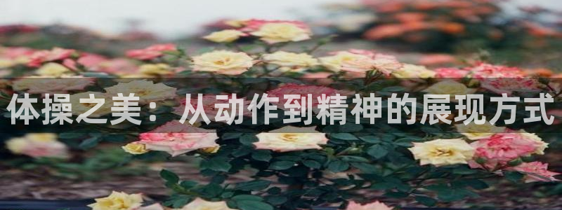 意昂f凯捷零能源集团