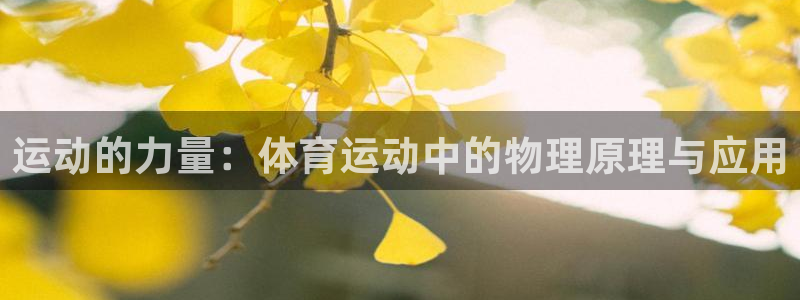 意昂f凯捷体育凯捷平台主管