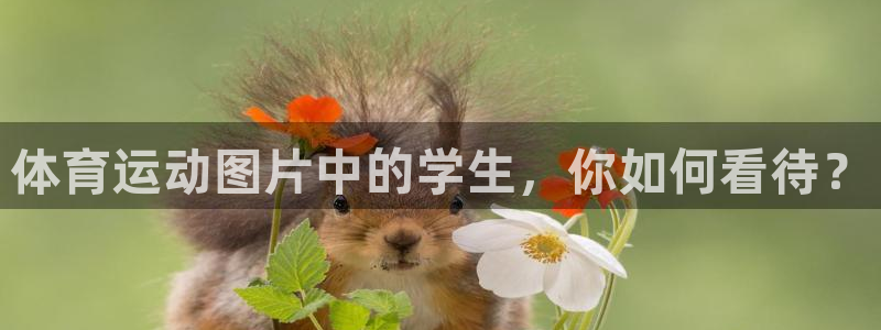 成都意昂f凯捷电子有限公司