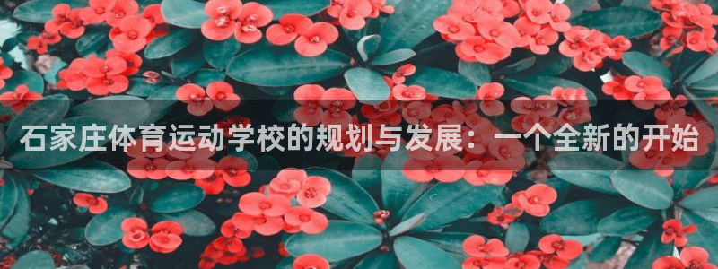 意昂f凯捷体育eon