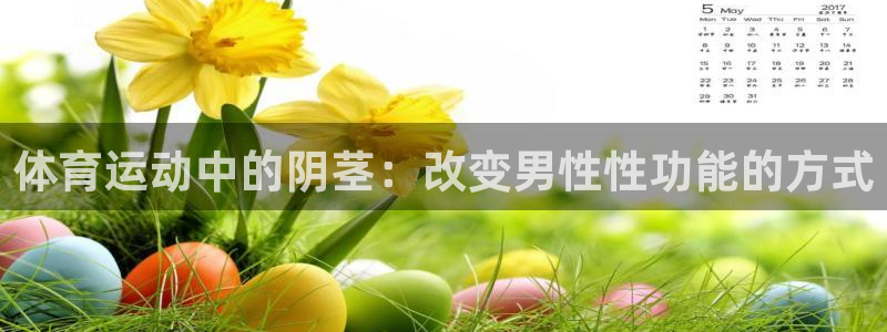 意昂f凯捷2体育登录入口