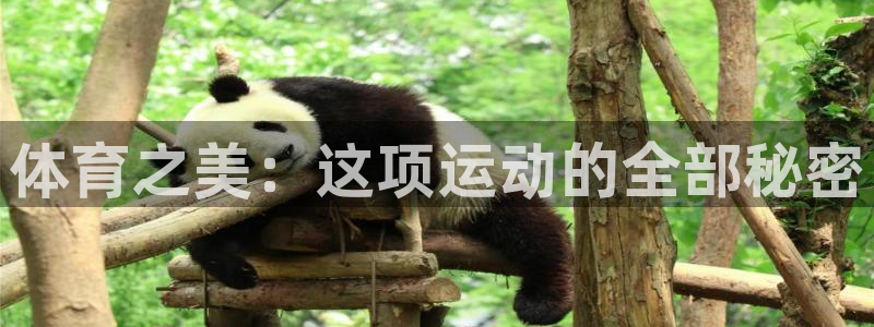 意昂f凯捷平台