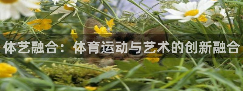 意昂f凯捷4平台